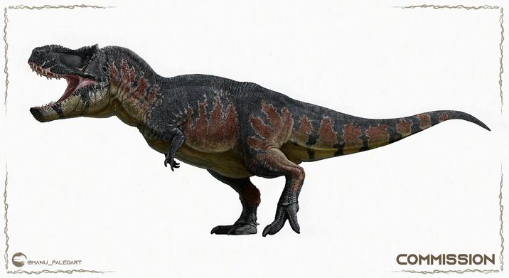 CMANU PALEOART COMMISSION