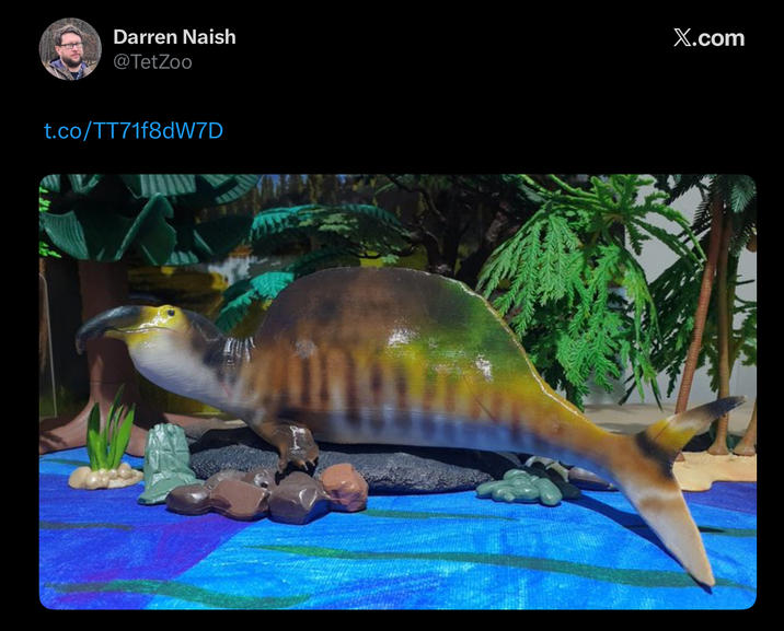 Darren Naish @TetZoo X.com t.co/TT71f8dW7D