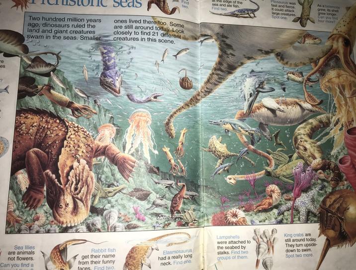 re es Find two. Two hundred million years ago, dinosaurs ruled the land and giant creatures swam in the seas. Smaller ones lived there too. Some are still around today. Look closely to find 21 different creatures in this scene. Sea lilies are animals not flowers. Can you find a at the edge of the sea and ate fish. Find two. Pliosaurus was fast and fierce. It could attack large creatures. Spot one. As a belemnite grew, its shell grew longer. Can you find four more? Rabbit fish get their name from their funny faces. Find two. Elasmosaurus had a really long neck. Find one. Lampshells were attached to the seabed by stalks. Find two groups of them. King crabs are still around today. They turn upside- down to swim. Spot two more.