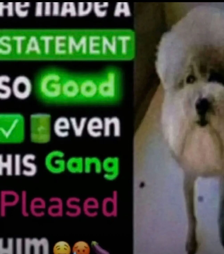 HE MADE A STATEMENT SO Good even HIS Gang Pleased