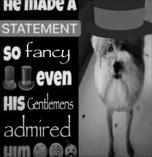 He MADE A STATEMENT So fancy Leven HIS Gentlemens admired HIMA