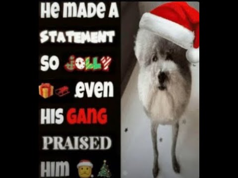 Hе MADE A STATEMENT SO JOLLY even HIS GANG PRAISED HIM