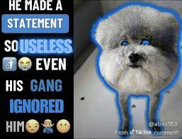 HE MADE A STATEMENT SOUSELESS EVEN HIS GANG IGNORED HIM @abvx183 From Tax Tok comment
