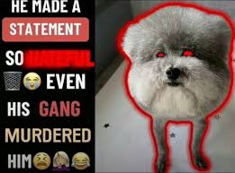 HE MADE A STATEMENT SO MATER EVEN HIS GANG MURDERED HIMA