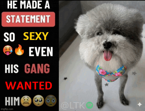 HE MADE A STATEMENT SO SEXY EVEN HIS GANG WANTED HIM imgflip.com @LTK