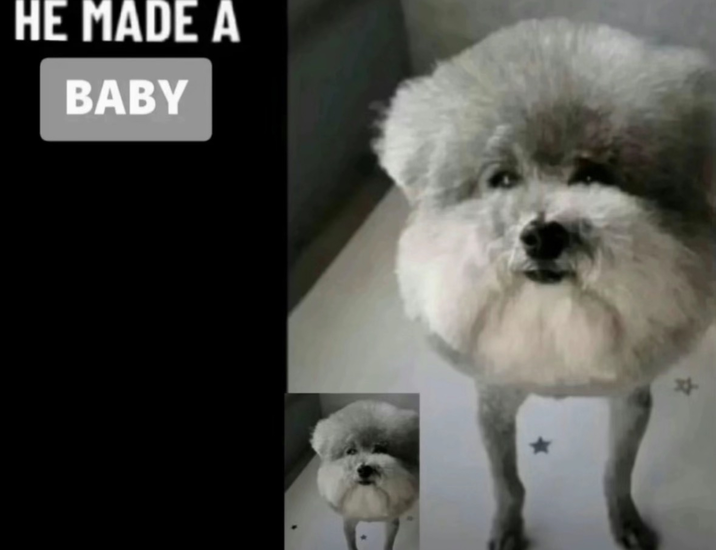 HE MADE A BABY 자