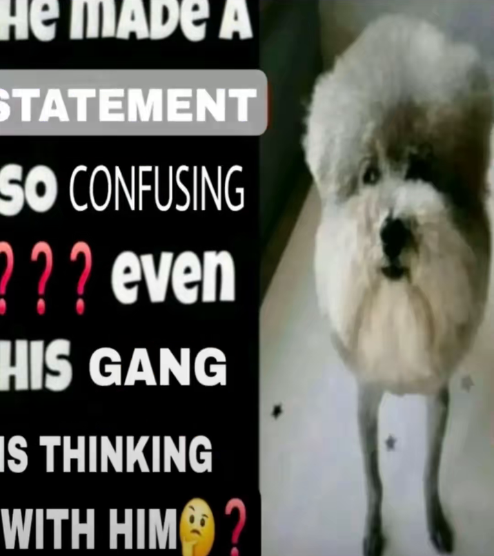 He MADE A STATEMENT SO CONFUSING 2?? even HIS GANG IS THINKING WITH HIM?