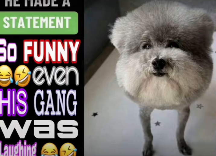 MADE A STATEMENT SO FUNNY even HIS GANG was Laughing & 4