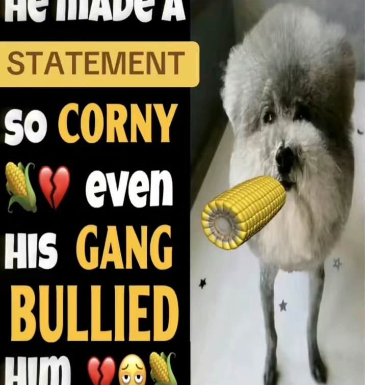 HE MADE A STATEMENT SO CORNY even HIS GANG BULLIED HIM ON 4