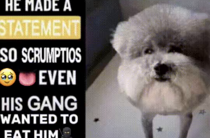 HE MADE A STATEMENT SO SCRUMPTIOS EVEN HIS GANG WANTED TO EAT HIM