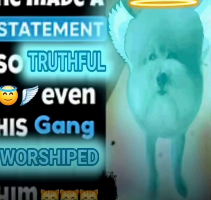 STATEMENT SO TRUTHFUL even HIS Gang WORSHIPED