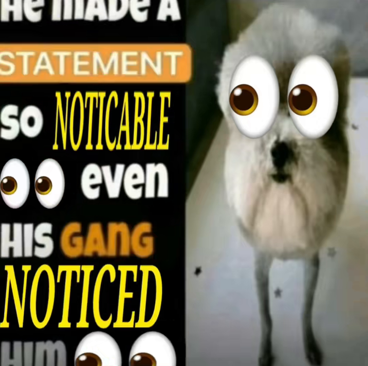He m A STATEMENT SO NOTICABLE even HIS GANG NOTICED HIM