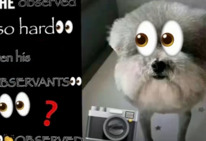 HE so hardɔɔ 50 en his BSERVANTS 00 ? NOBSERVED