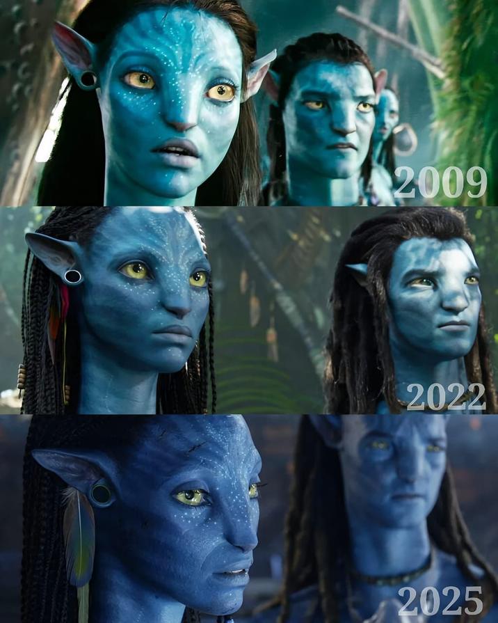 2009 2022 2025
