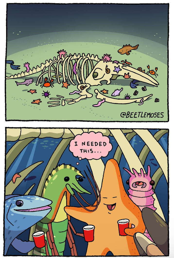 I NEEDED THIS... @BEETLEMOSES