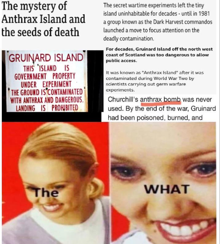 The mystery of Anthrax Island and the seeds of death GRUINARD ISLAND THIS ISLAND IS GOVERNMENT PROPERTY UNDER EXPERIMENT THE GROUND IS CONTAMINATED WITH ANTHRAX AND DANGEROUS. LANDING IS PROHIBITED The secret wartime experiments left the tiny island uninhabitable for decades - until in 1981 a group known as the Dark Harvest commandos launched a move to focus attention on the deadly contamination. For decades, Gruinard Island off the north west coast of Scotland was too dangerous to allow public access. It was known as "Anthrax Island" after it was contaminated during World War Two by scientists carrying out germ warfare experiments. Churchill's anthrax bomb was never used. By the end of the war, Gruinard had been poisoned, burned, and The WHAT