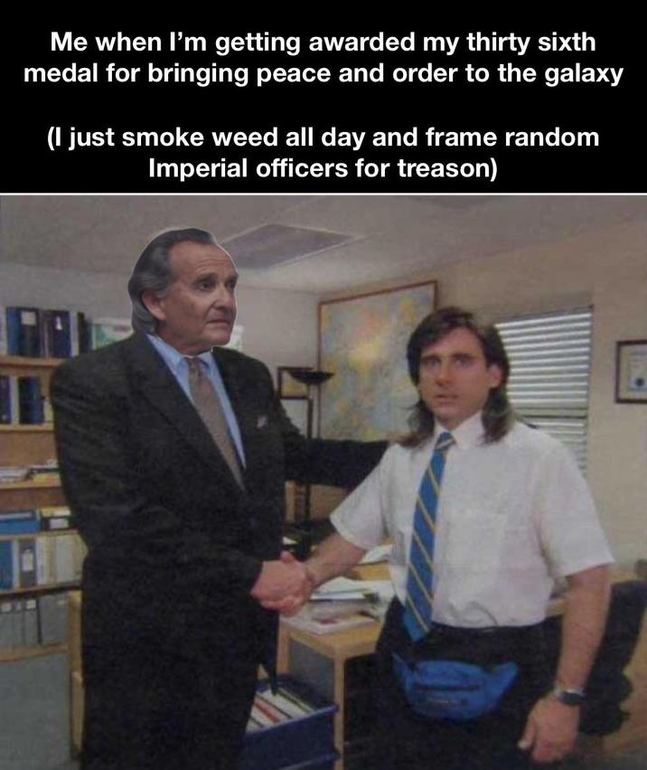 Me when I'm getting awarded my thirty sixth medal for bringing peace and order to the galaxy (I just smoke weed all day and frame random Imperial officers for treason)