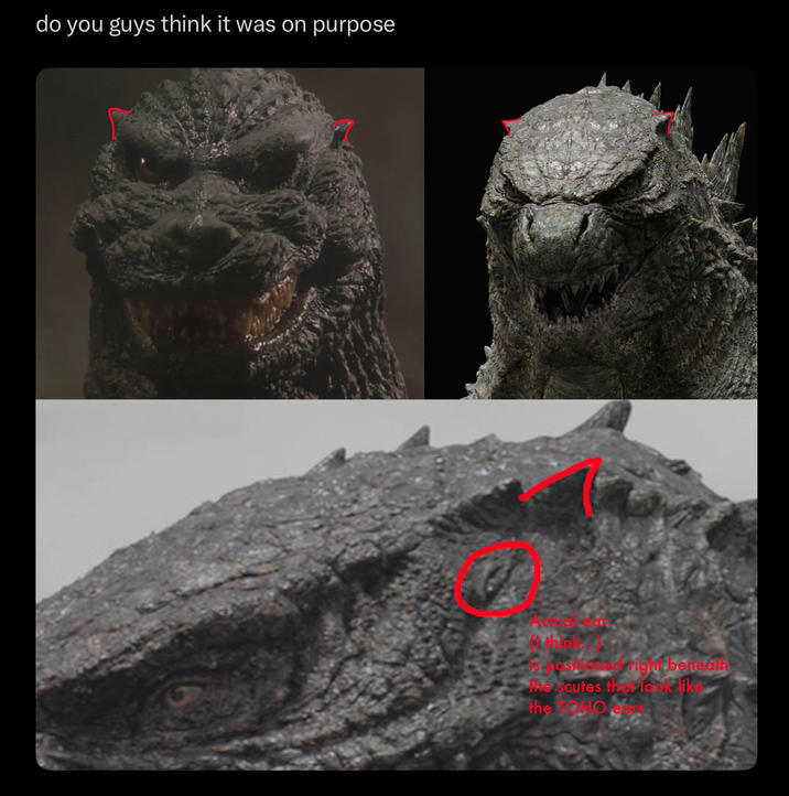 do you guys think it was on purpose Withink posting rigu beneath the scutes that look like the SOHO ears