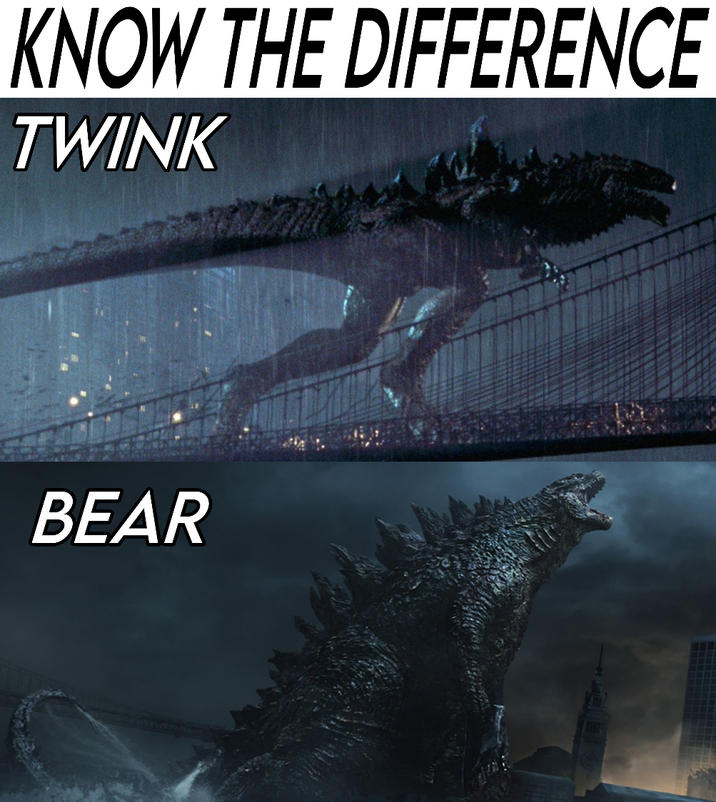 KNOW THE DIFFERENCE TWINK BEAR