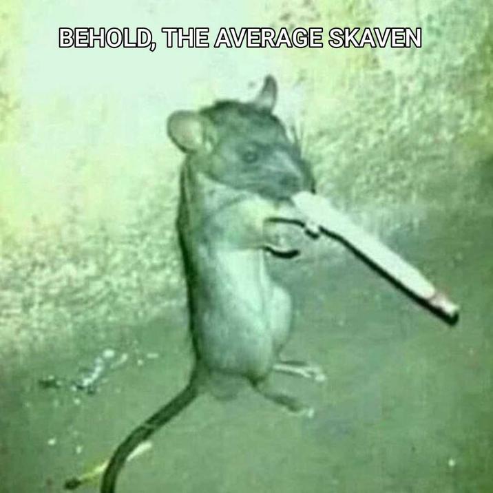 BEHOLD, THE AVERAGE SKAVEN