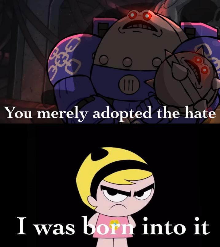 You merely adopted the hate I was born into it