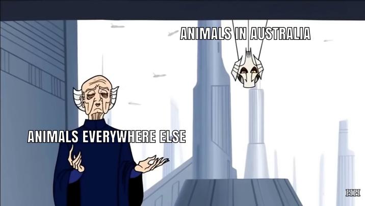 ANIMALS IN AUSTRALIA ANIMALS EVERYWHERE ELSE HH