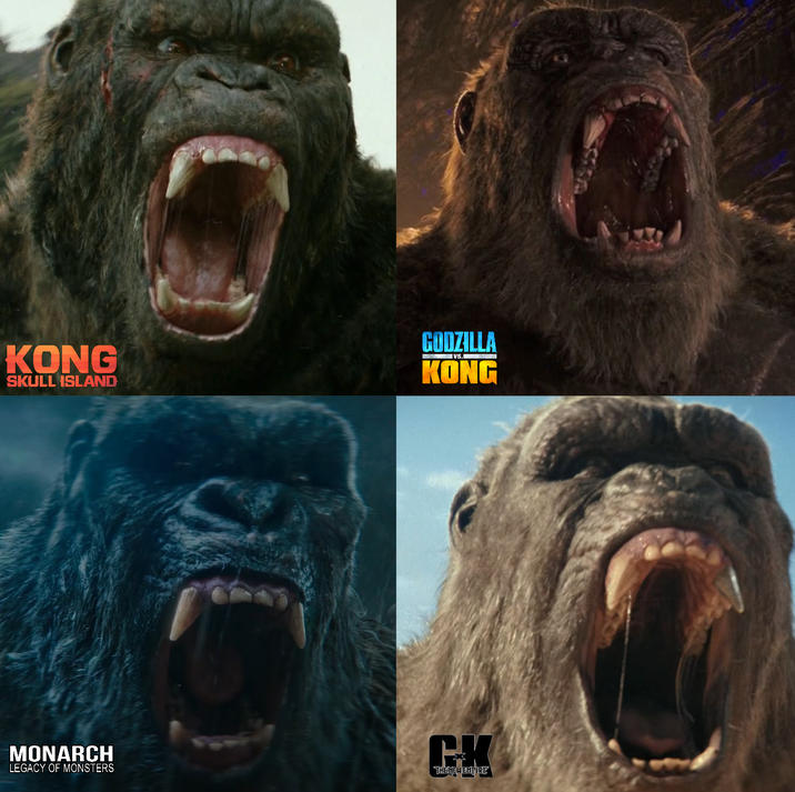 KONG SKULL ISLAND GODZILLA KONG MONARCH LEGACY OF MONSTERS CH THE NEW ENTIRE