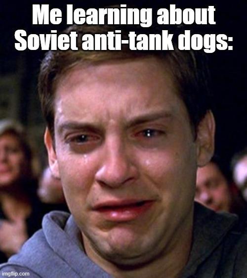 Me learning about Soviet anti-tank dogs: imgflip.com