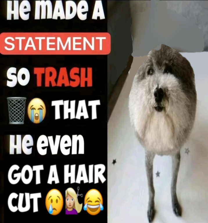 HE MADE A STATEMENT SO TRASH THAT He even GOT A HAIR CUT