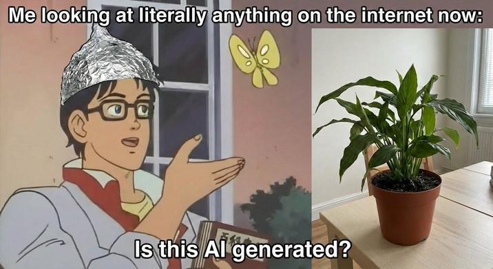 Me looking at literally anything on the internet now: Is this Al generated?