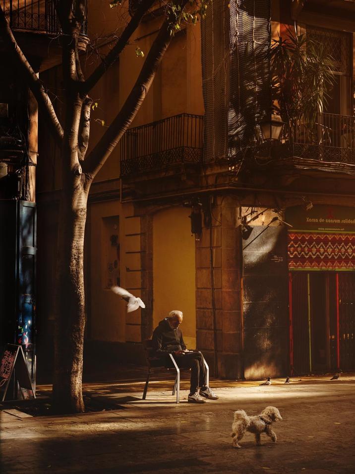 Xarxa de consum solidari www.ara.com.net