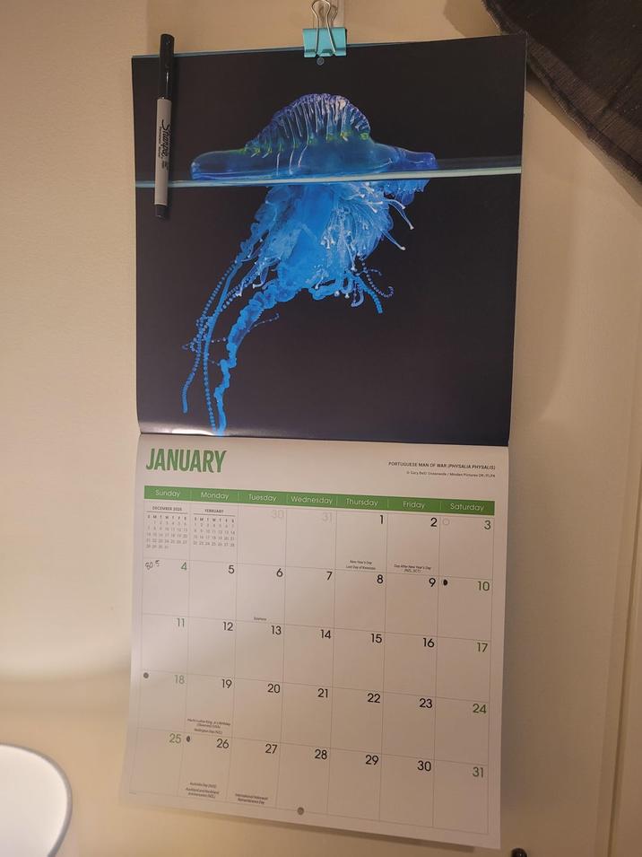 Sharpie PORTUGUESE MAN OF WAR (PHYSALIA PHYSALIS) Gary Bell/ Oceanwide / Minden Pictures OR/FLPA Monday Tuesday Wednesday Thursday Friday Saturday 30 31 1 20 3 JANUARY Sunday DECEMBER 2025 SMTWTFS 123456 7 8 9 10 11 12 13 S M FEBRUARY 89 10 11 12 13 14 14 15 16 17 18 19 20 15 16 17 18 19 20 21 21 22 23 24 25 26 27 22 23 24 25 26 27 28 28 29 30 31 80.5 4 5 6 7 New Year's Day (SCT) 8 90 10 110 Epphary 11 12 13 14 15 16 17 18 19 20 20 25 WgDay N 26 221 21 22 22 23 24 24 27 28 29 30 31 A Day Auckland and Nat A onaHobcat membrance Day