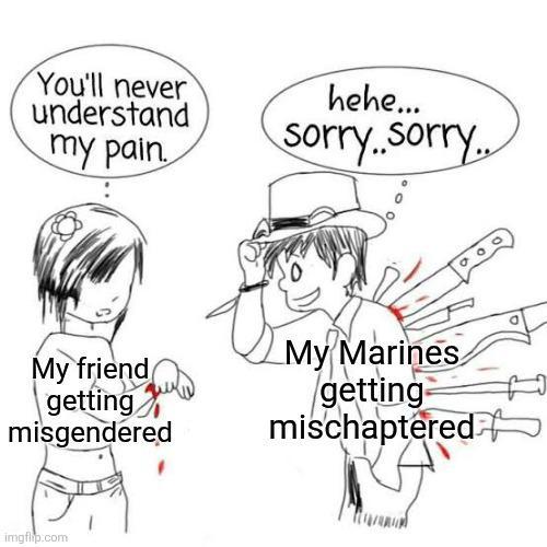 You'll never understand my pain. hehe... sorry..sorry.. My friend getting misgendered My Marines getting mischaptered imgflip.com