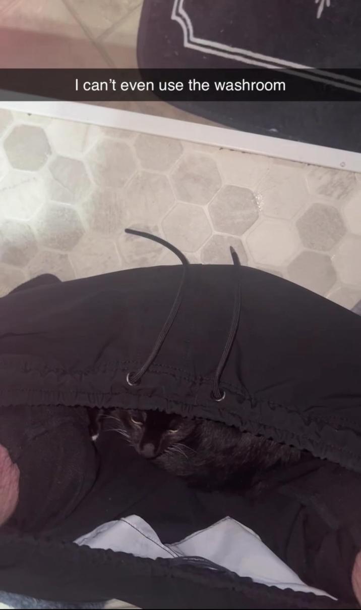 I can't even use the washroom