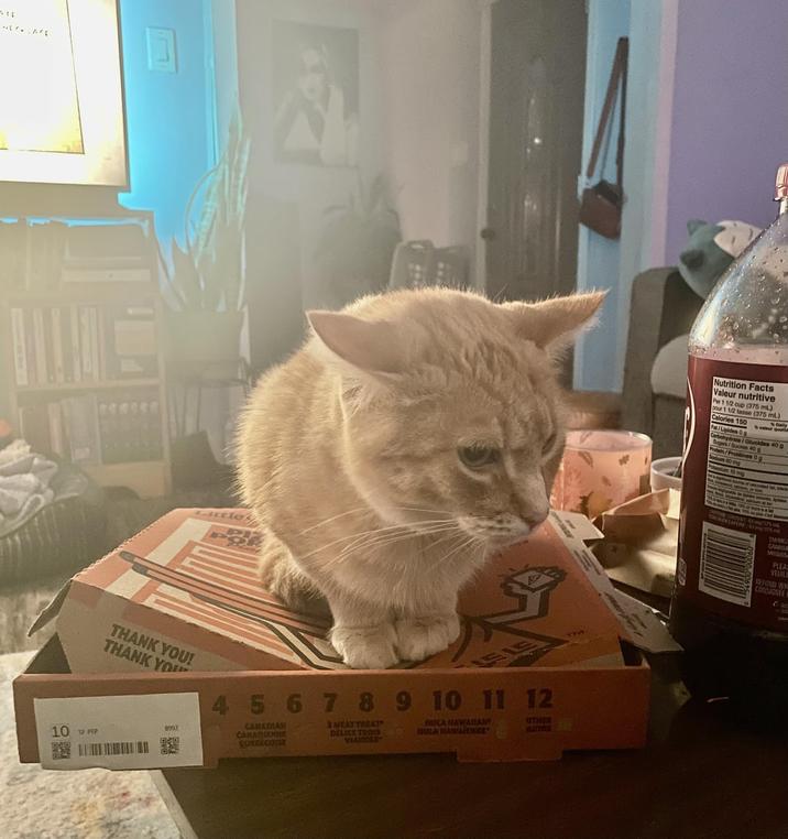 Lutley THANK YOU! THANK YOU 8992 4 5 6 7 89 9 10 11 12 CANADIAN CANADIENNE SWEAT TREAT DELICE TROIS VIANDER RULA HAWAIIAN BULA RAWALEKNES OTHER AUTRE 10 12 PEP 040 CURRECOUSE Nutrition Facts Valeur nutritive Per 1 1/2 cup (375 ml) pour 1 1/2 tasse (375 ml) Calories 150 Fat/Lipides g Dally Carbohydrate/Glucides 40 g Sugars/Sucres 40 g in/Protéines 0 g 60 mg AFTERNE CONTENT 75 EN CAFEMA)/275 TAMG CANADA MISSISS PLEA VEUILL REFUND WH CONSIGNEE 68