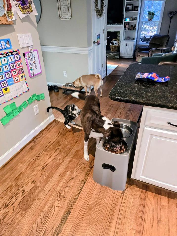 17 ER 11 12 56 18 19 3 26 27