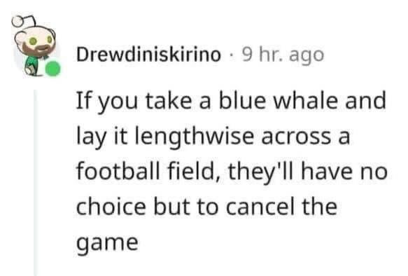 Drewdiniskirino 9 hr. ago If you take a blue whale and lay it lengthwise across a football field, they'll have no choice but to cancel the game