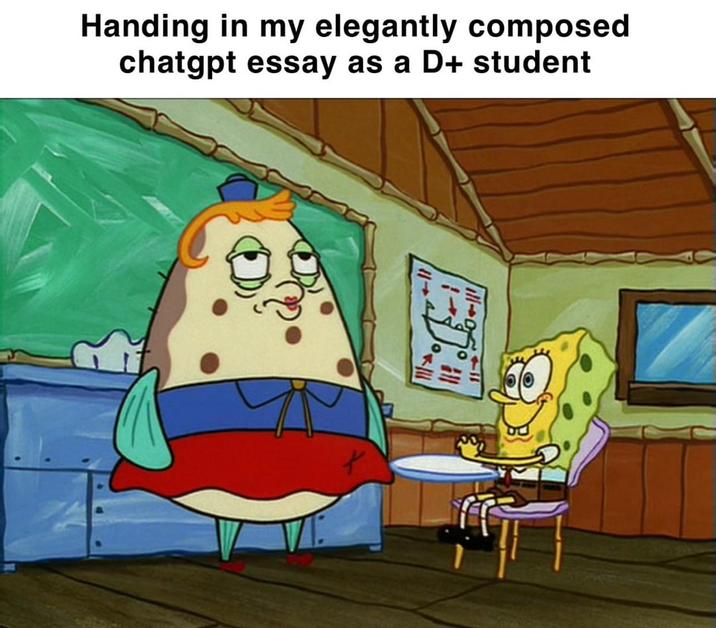 Handing in my elegantly composed chatgpt essay as a D+ student All
