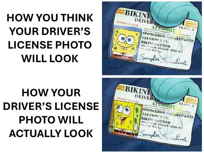 HOW YOU THINK YOUR DRIVER'S LICENSE PHOTO WILL LOOK BIKINI DRIVER EXPIRES: 12-14-03 A1356021 CLASS: S SPONGEBOB SQUAREPANTS 124 CONCH ST. BIKINI BOTTOM : M HAIR: YELLOW EYES, BLU T: 0-04 WT: loa SpongeBob SquarePants HOW YOUR DRIVER'S LICENSE PHOTO WILL ACTUALLY LOOK BIKINI DRIVER EXPIRES: 12-14-03 A1356021 CLASS: S SPONGEBOB SQUAREPANTS 124 CONCH ST. BIKINI BOTTOM . M HAIR YELLOW EYES: BLU T: 0-04 WT: los SpongeBob Squardants