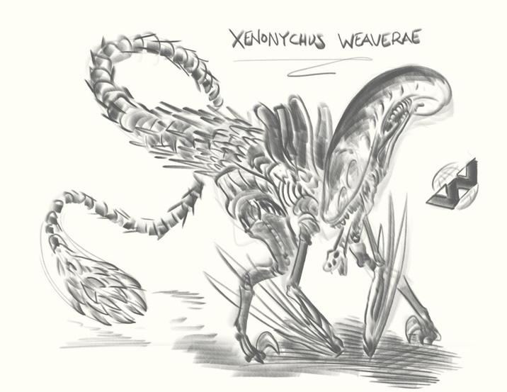 XENONYCHUS WEAVERAE