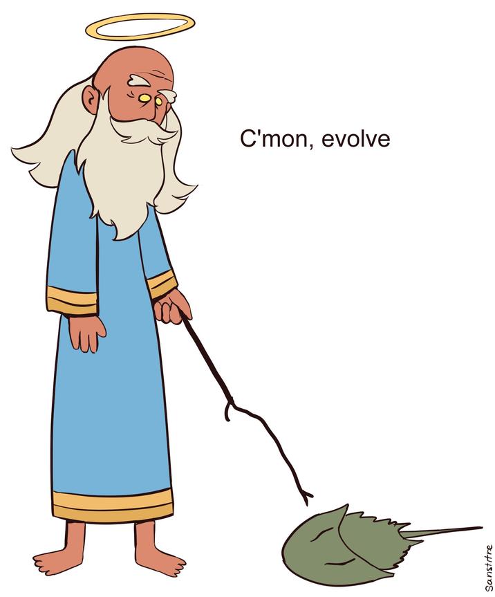 Sanstitre C'mon, evolve