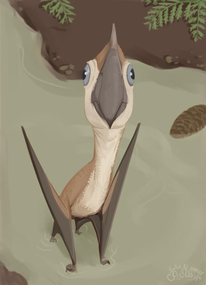 Zuillet 12.MM) MMXXV