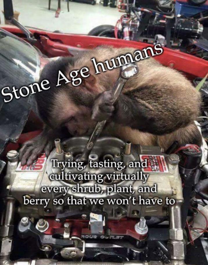 Stone Age humans Trying, tasting, and cultivating virtually every shrub, plant, and berry so that we won't have to ROUS OUTLET