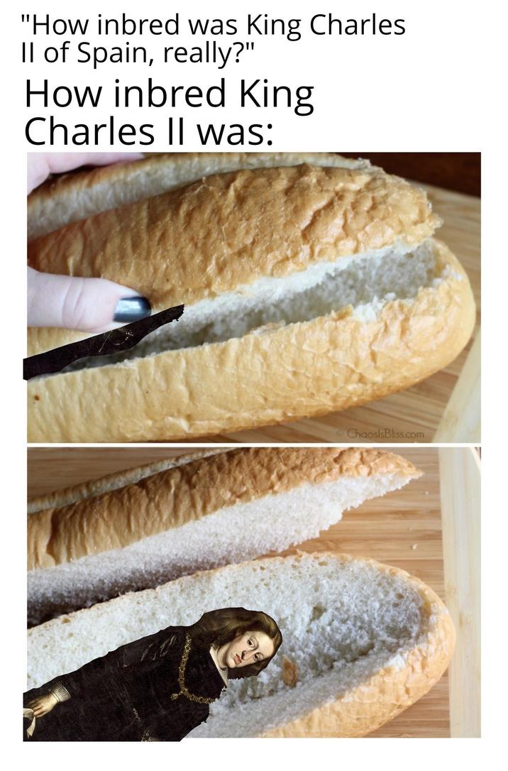 "How inbred was King Charles Il of Spain, really?" How inbred King Charles II was: ChaoslsBliss.com