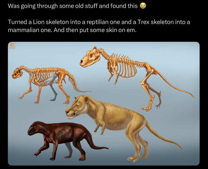 Was going through some old stuff and found this Turned a Lion skeleton into a reptilian one and a Trex skeleton into a mammalian one. And then put some skin on em. RIAMUS