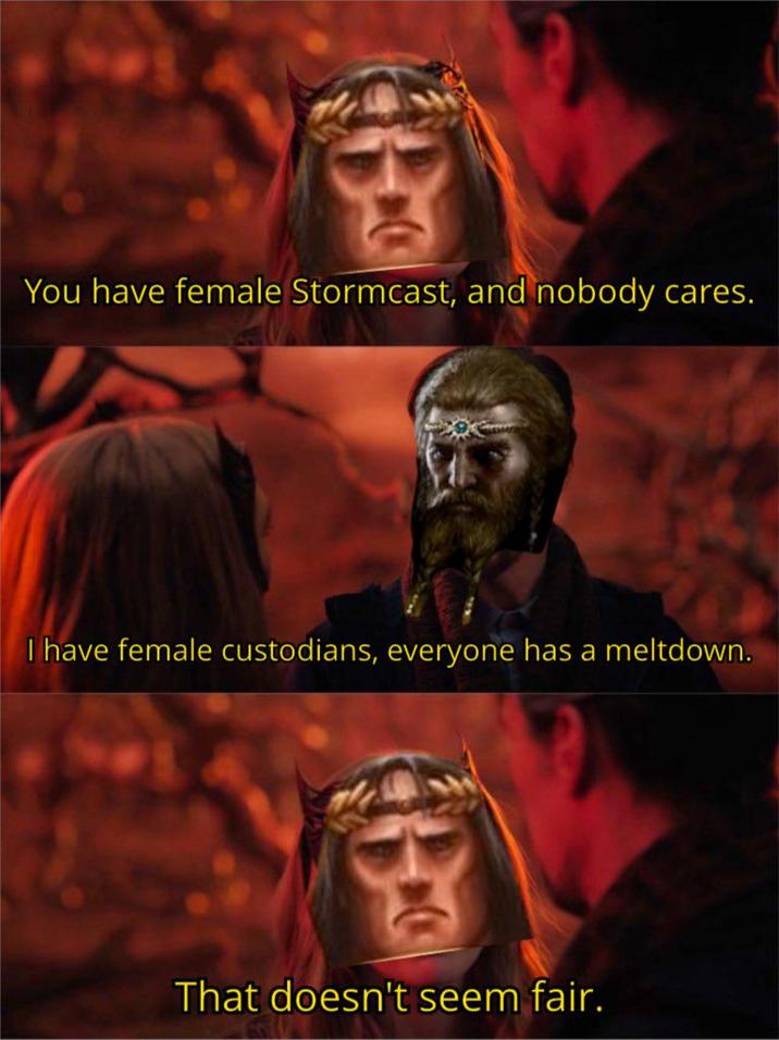 You have female Stormcast, and nobody cares. I have female custodians, everyone has a meltdown. That doesn't seem fair.