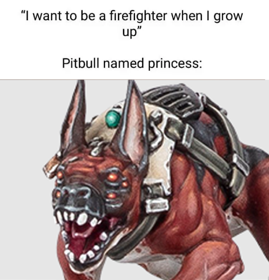 "I want to be a firefighter when I grow up" Pitbull named princess: