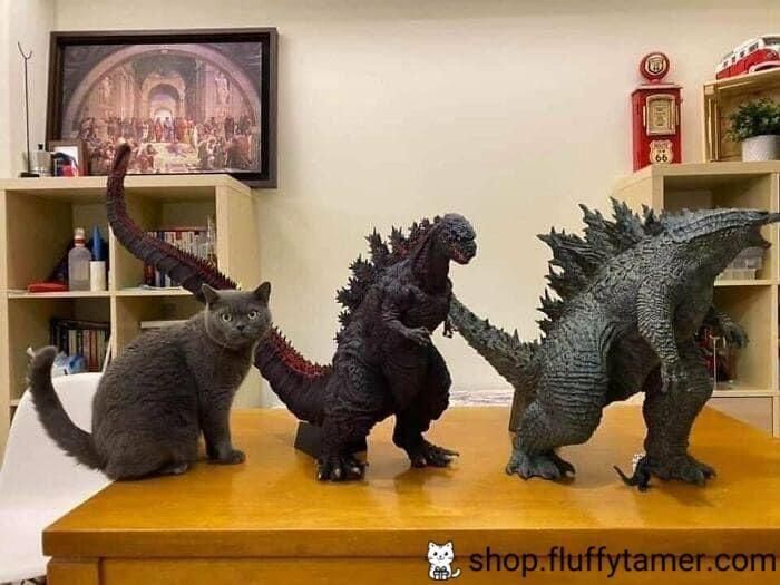 shop.fluffytamer.com