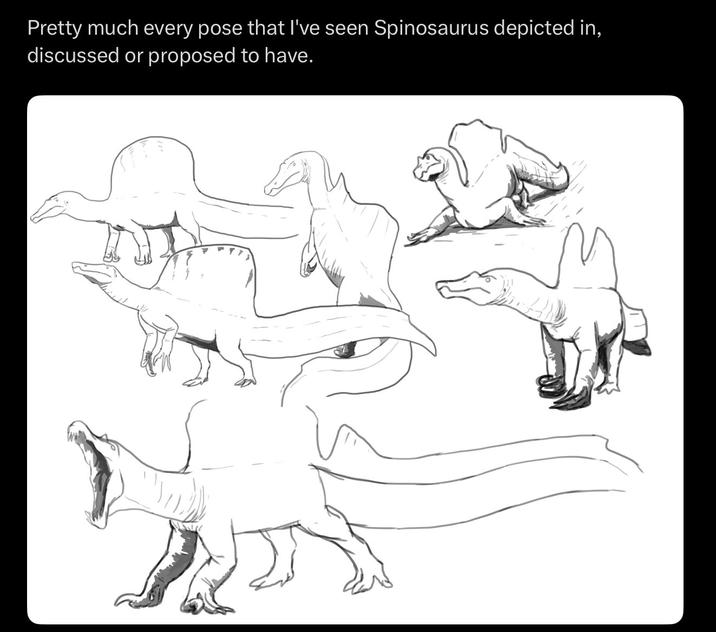 Pretty much every pose that I've seen Spinosaurus depicted in, discussed or proposed to have.