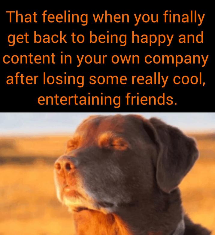 That feeling when you finally get back to being happy and content in your own company after losing some really cool, entertaining friends.